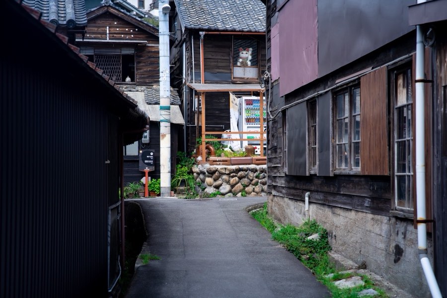 愛知県、2019年春、日本。撮影：Jordy Meow（158/289）