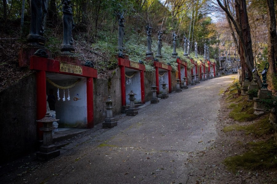 愛知県、2019年春、日本。撮影：Jordy Meow（160/289）