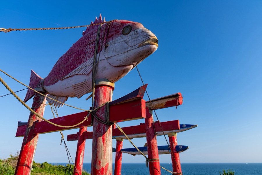 千葉県、2024年夏、日本。撮影：Jordy Meow（66/229）