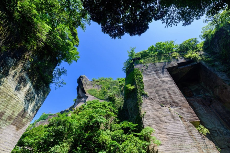 千葉県、2015年夏、日本。撮影：Jordy Meow（67/229）
