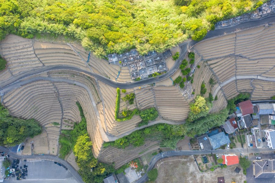 愛媛県、2020年夏、日本。撮影：Jordy Meow（180/229）