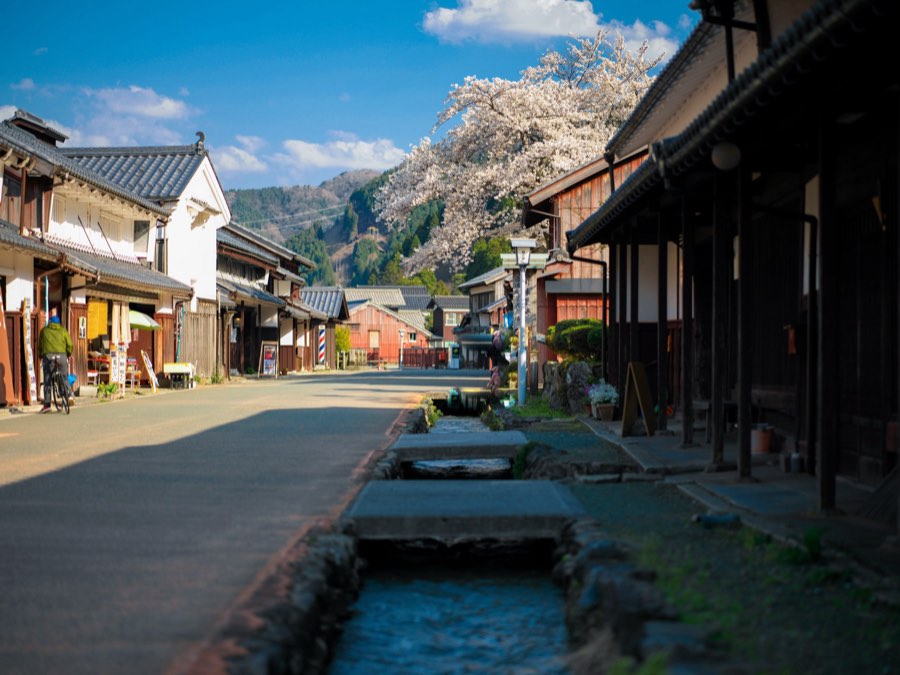 福井県、2020年春、日本。撮影：Jordy Meow（110/289）