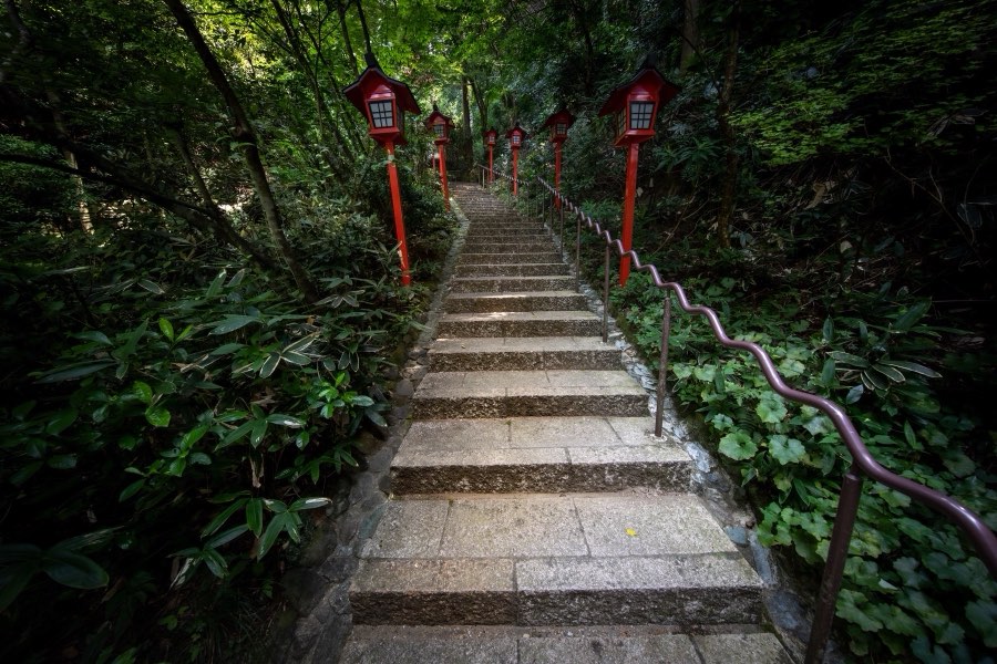 福岡県、2018年夏、日本。撮影：Jordy Meow（193/229）