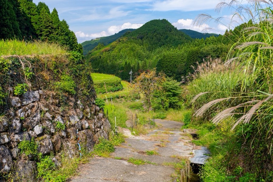 福岡県、2024年秋、日本。撮影：Jordy Meow（9/12）
