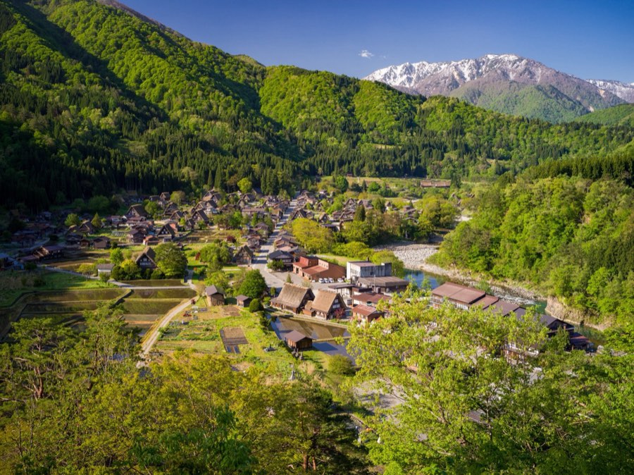 岐阜県、2020年春、日本。撮影：Jordy Meow（130/289）