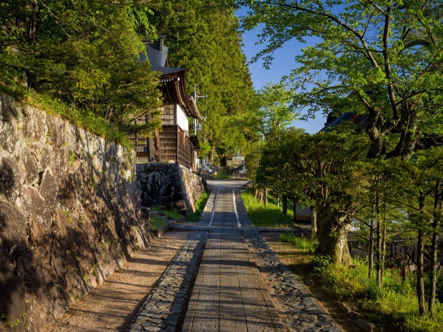 岐阜県、2020年春、日本。撮影：Jordy Meow（134/289）