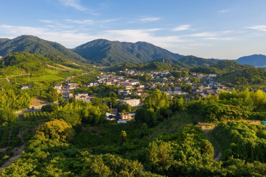 広島県、2020年夏、日本。撮影：Jordy Meow（150/229）