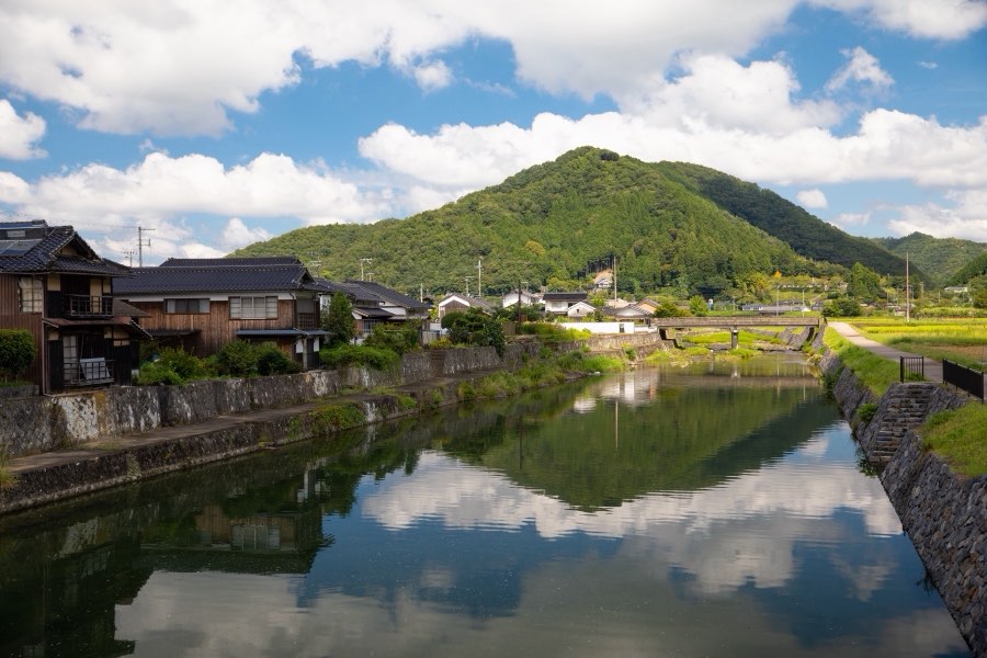 兵庫県、2019年秋、日本。撮影：Jordy Meow（222/302）