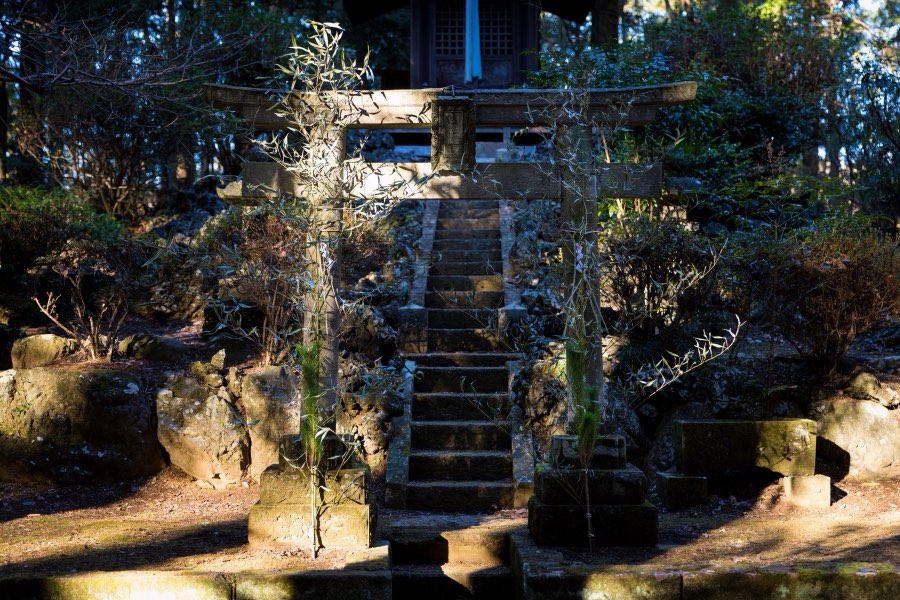 茨城県、2018年冬、日本。撮影：Jordy Meow（56/116）