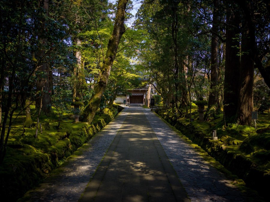 石川県、2020年春、日本。撮影：Jordy Meow（11/25）