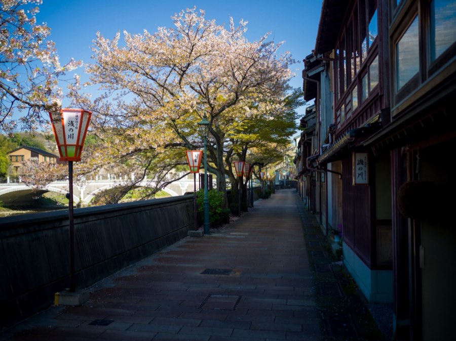 石川県、2020年春、日本。撮影：Jordy Meow（12/25）