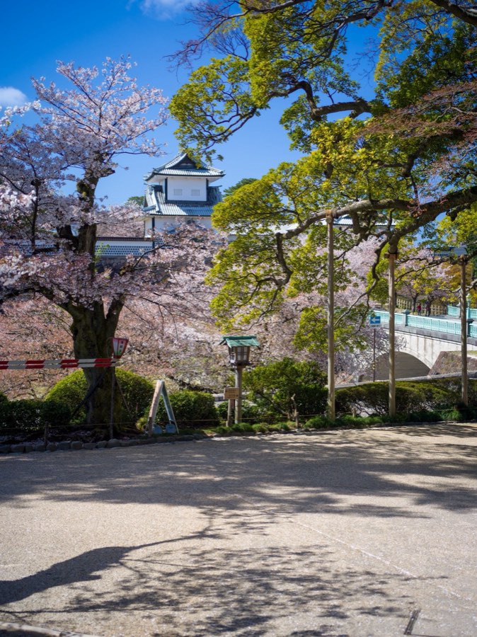 石川県、2020年春、日本。撮影：Jordy Meow（14/25）