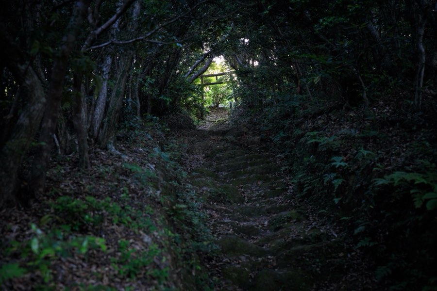 鹿児島県、2018年春、日本。撮影：Jordy Meow（17/18）