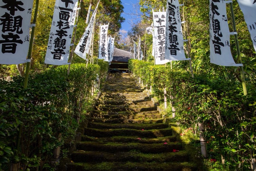 神奈川県、2019年春、日本。撮影：Jordy Meow（89/289）