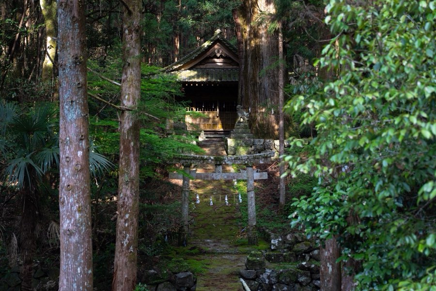 高知県、2019年春、日本。撮影：Jordy Meow（234/289）