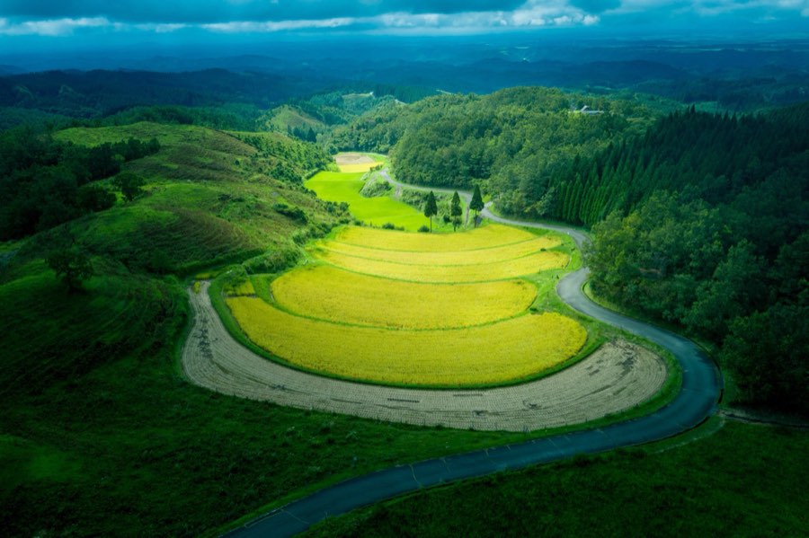熊本県、2019年秋、日本。撮影：Jordy Meow（284/302）
