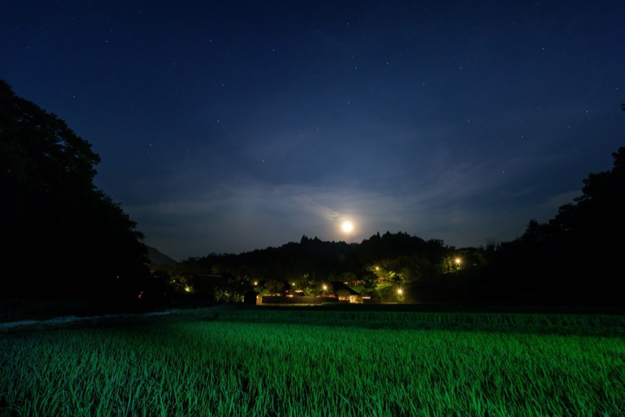 熊本県、2015年夏、日本。撮影：Jordy Meow（214/229）