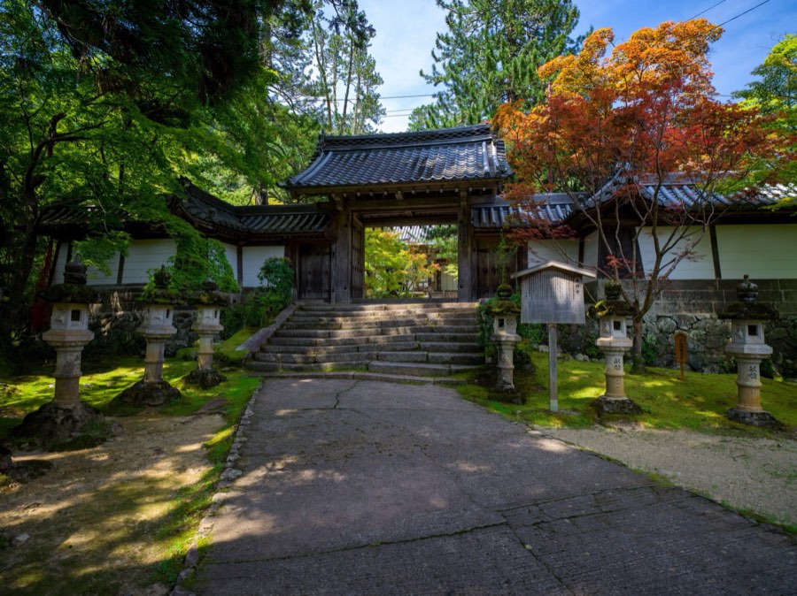 京都府、2020年夏、日本。撮影：Jordy Meow（118/229）
