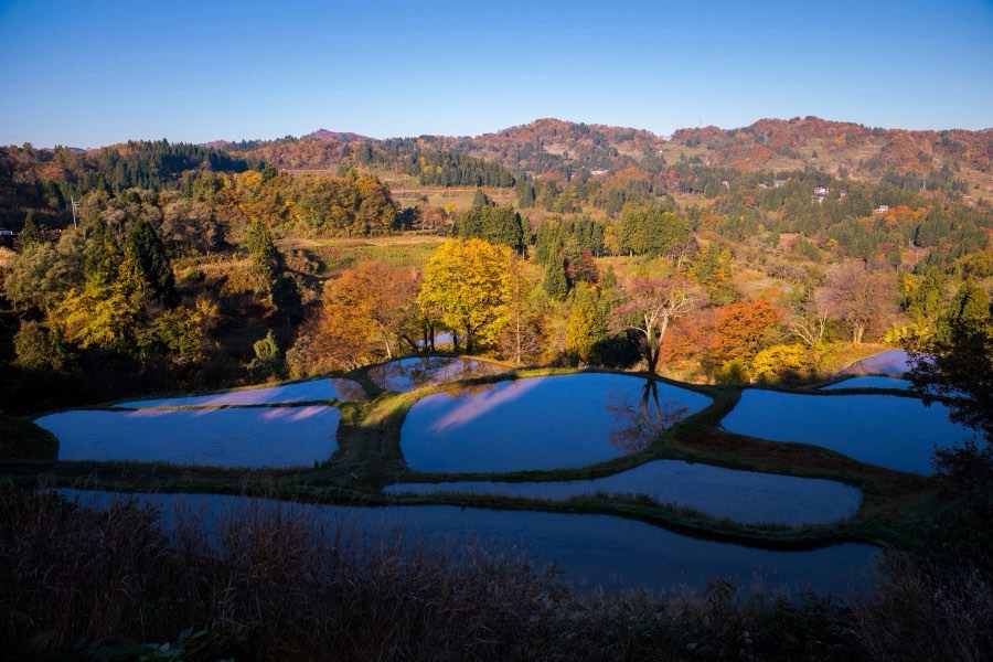 新潟県、2017年秋、日本。撮影：Jordy Meow（124/302）