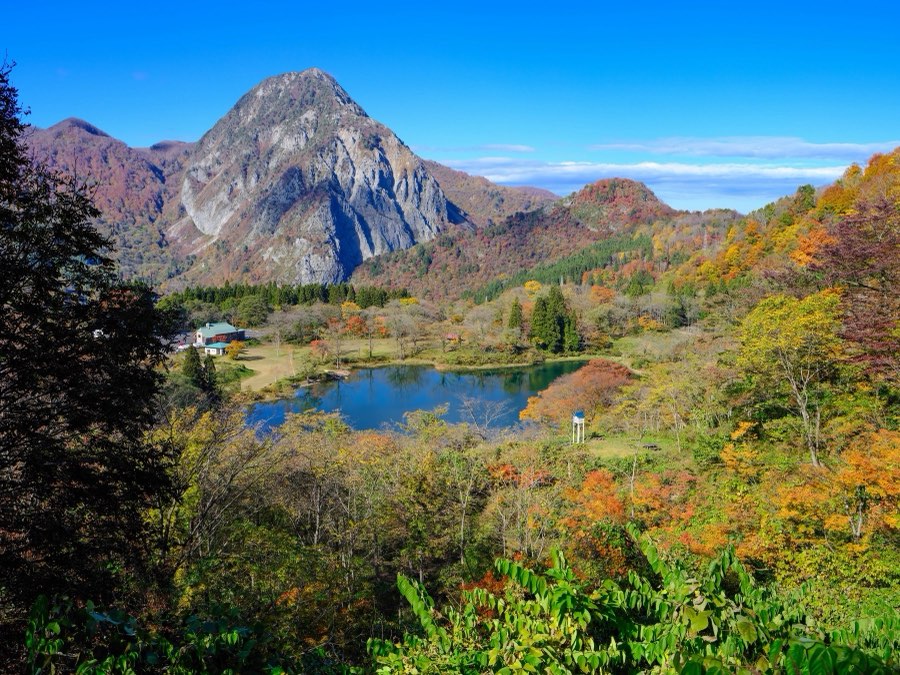 新潟県、2022年秋、日本。撮影：Jordy Meow（126/302）