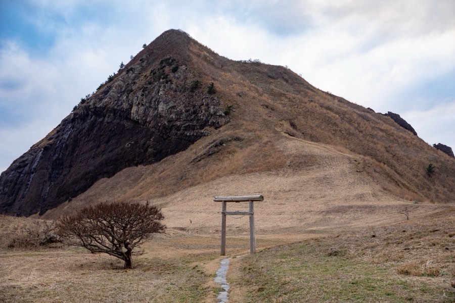 新潟県、2019年冬、日本。撮影：Jordy Meow（83/116）