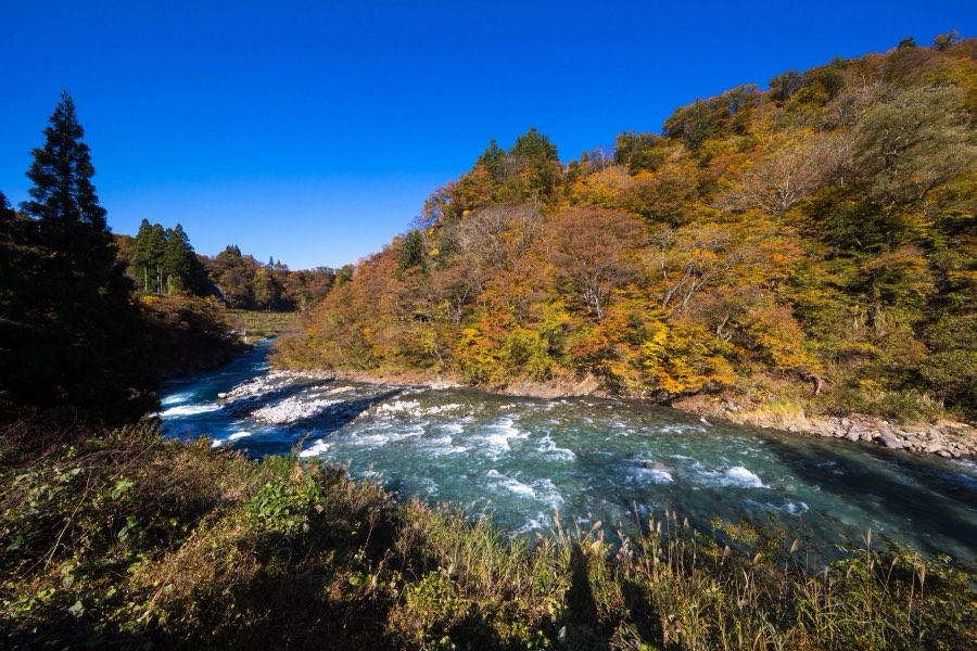 新潟県、2017年秋、日本。撮影：Jordy Meow（128/302）