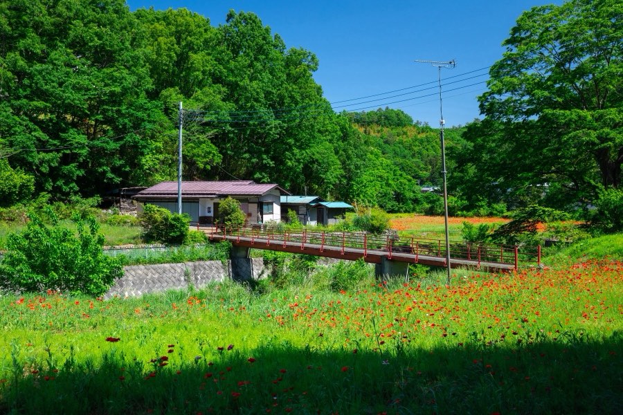 埼玉県、2019年春、日本。撮影：Jordy Meow（67/289）