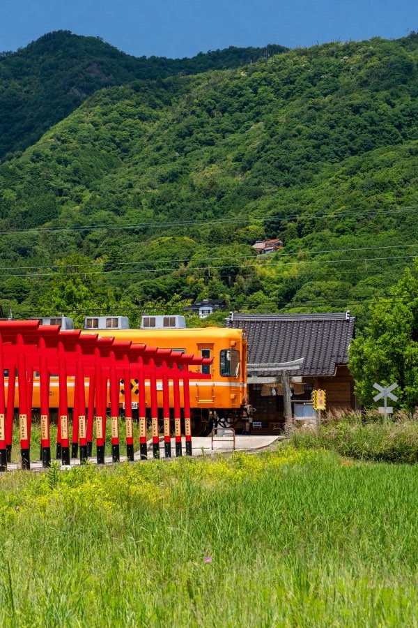 島根県、2026年春、日本。撮影：Jordy Meow（193/289）