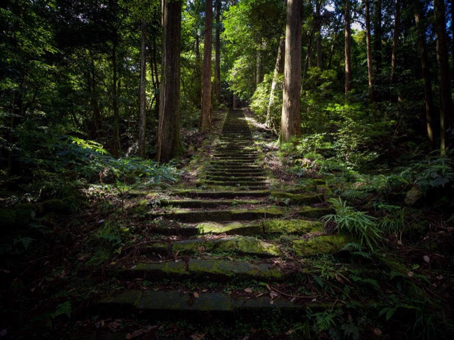 島根県、2020年夏、日本。撮影：Jordy Meow（132/229）