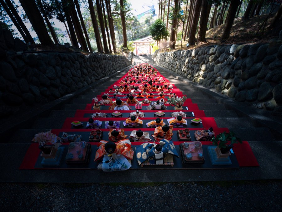 静岡県、2020年冬、日本。撮影：Jordy Meow（97/116）