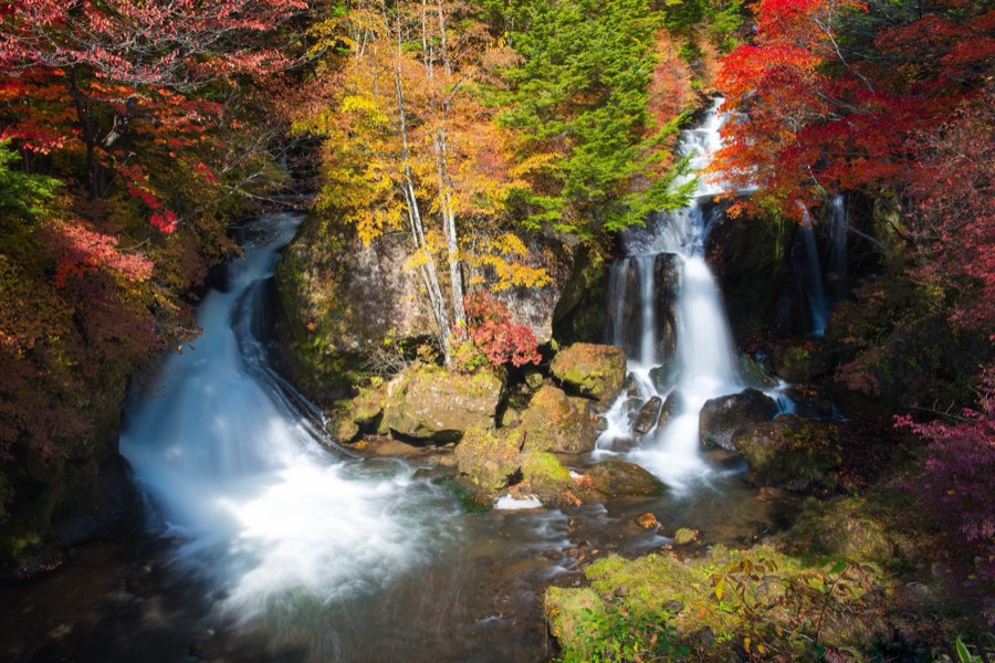 栃木県、2012年秋、日本。撮影：Jordy Meow（79/302）