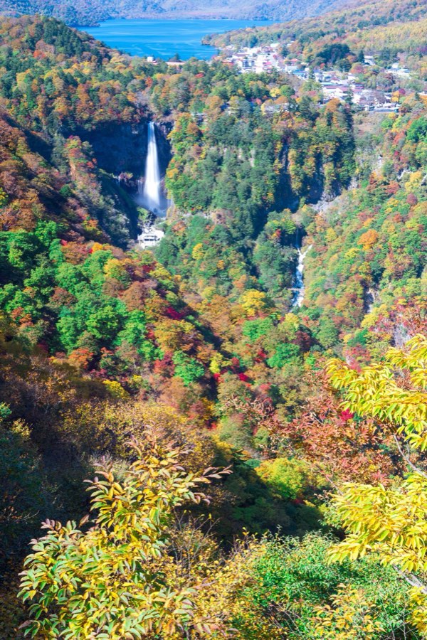 栃木県、2012年秋、日本。撮影：Jordy Meow（80/302）