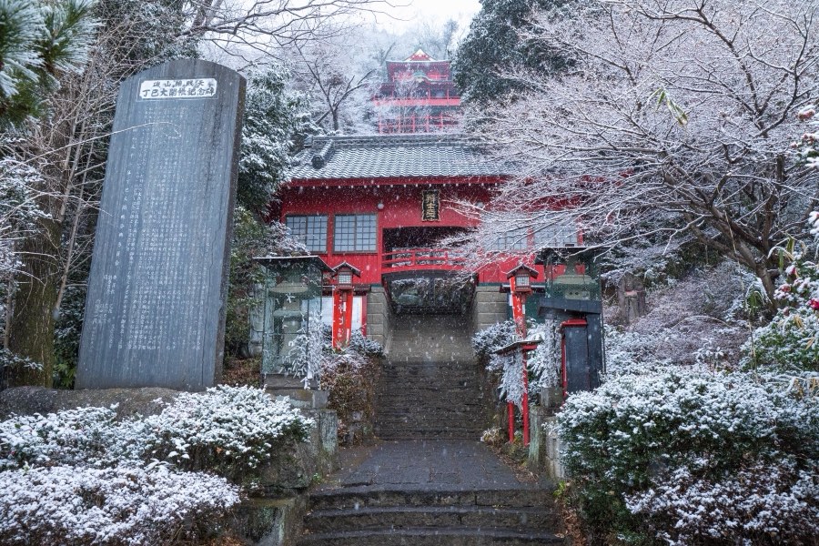 栃木県、2018年冬、日本。撮影：Jordy Meow（65/116）