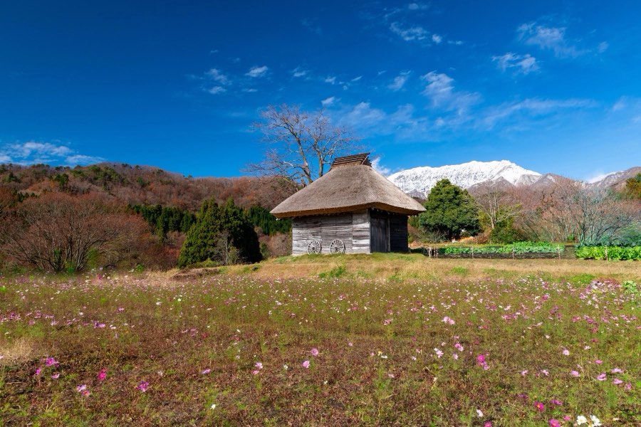 鳥取県、2018年秋、日本。撮影：Jordy Meow（2/5）