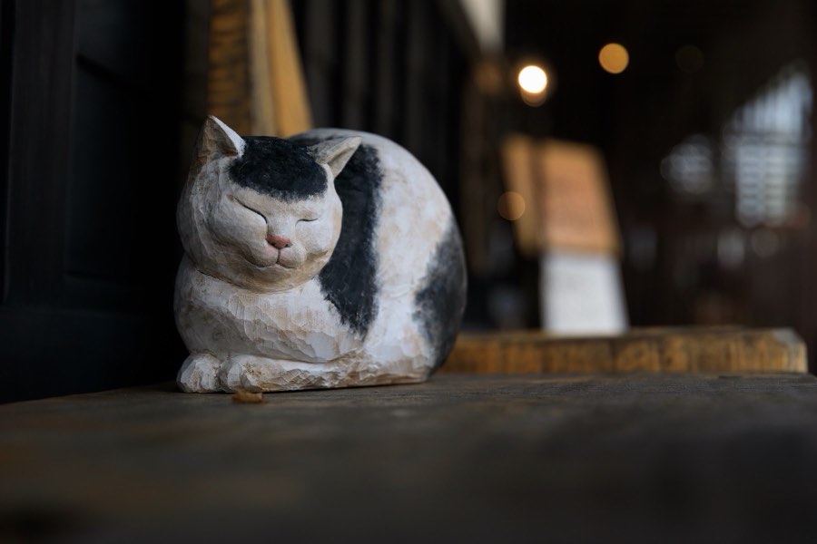 富山県、2018年夏、日本。撮影：Jordy Meow（91/229）