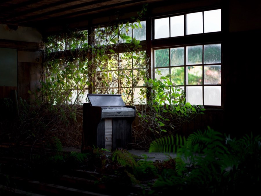 和歌山県、2019年秋、日本。撮影：Jordy Meow（2/15）