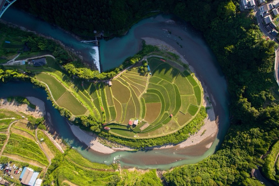 和歌山県、2016年夏、日本。撮影：Jordy Meow（5/15）