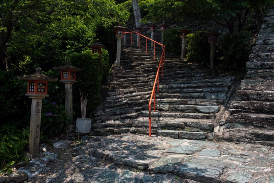 和歌山県、2016年夏、日本。撮影：Jordy Meow（6/15）