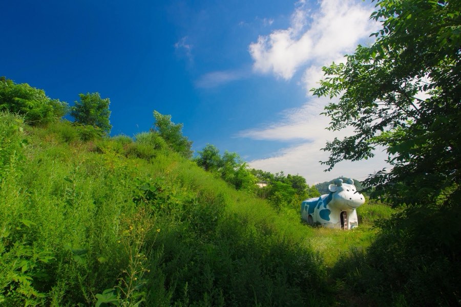 山梨県、2013年夏、日本。撮影：Jordy Meow（14/25）